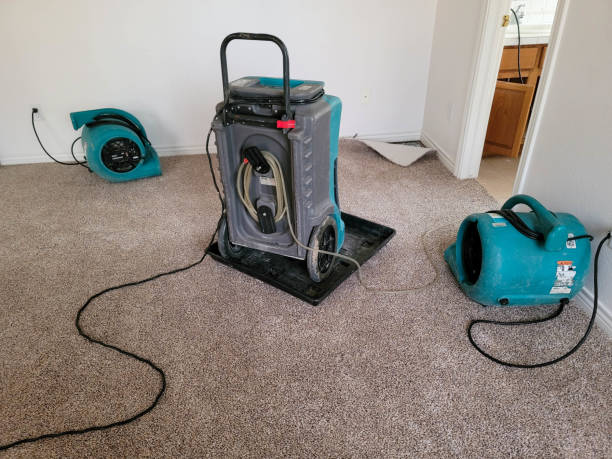 Best Basement water damage restoration  in Lexington, KY