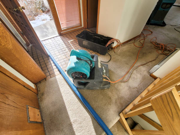Trusted Lexington, KY Water damage restoration Experts