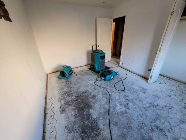Best Water damage restoration near me  in Lexington, KY