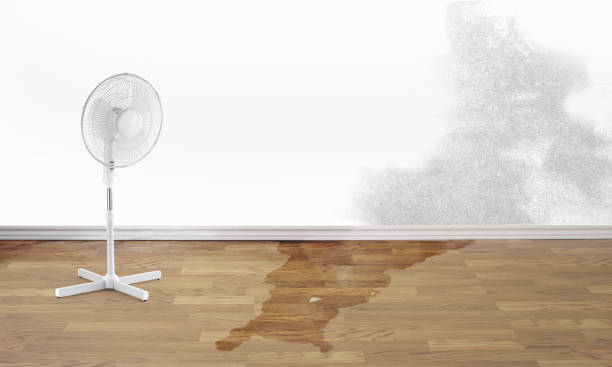 Best Sewage cleanup and water damage restoration  in Lexington, KY