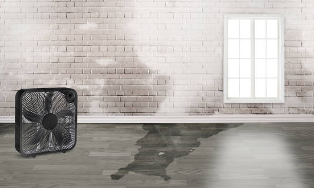 Best Fire Damage Restoration  in Lexington, KY