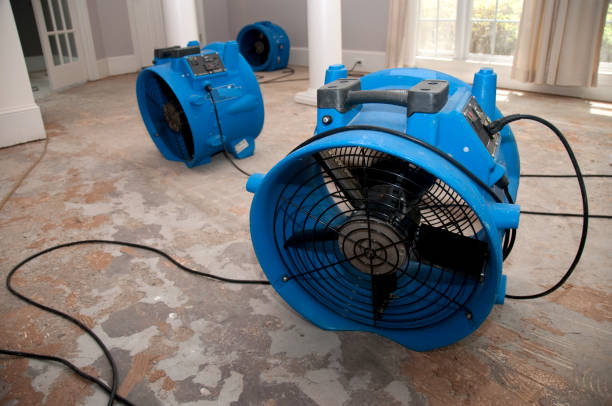Best Water damage restoration near me  in Lexington, KY
