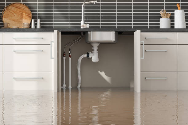 Best Water damage contractors near me  in Lexington, KY