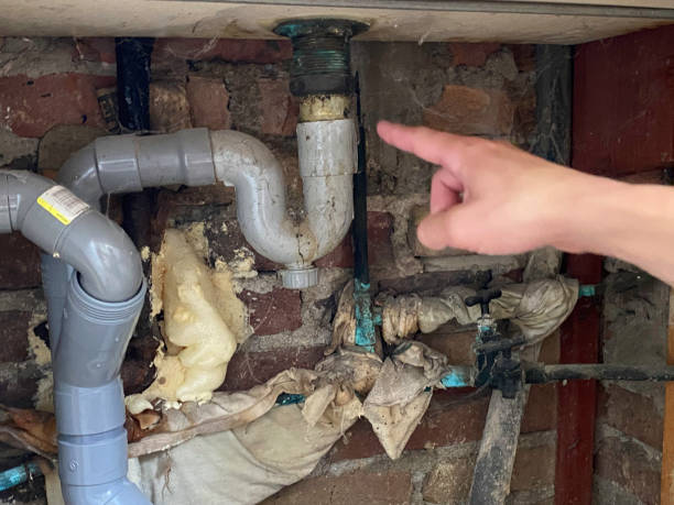 Best Local water damage restoration  in Lexington, KY