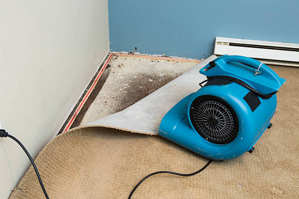 Best Water damage restoration company  in Lexington, KY